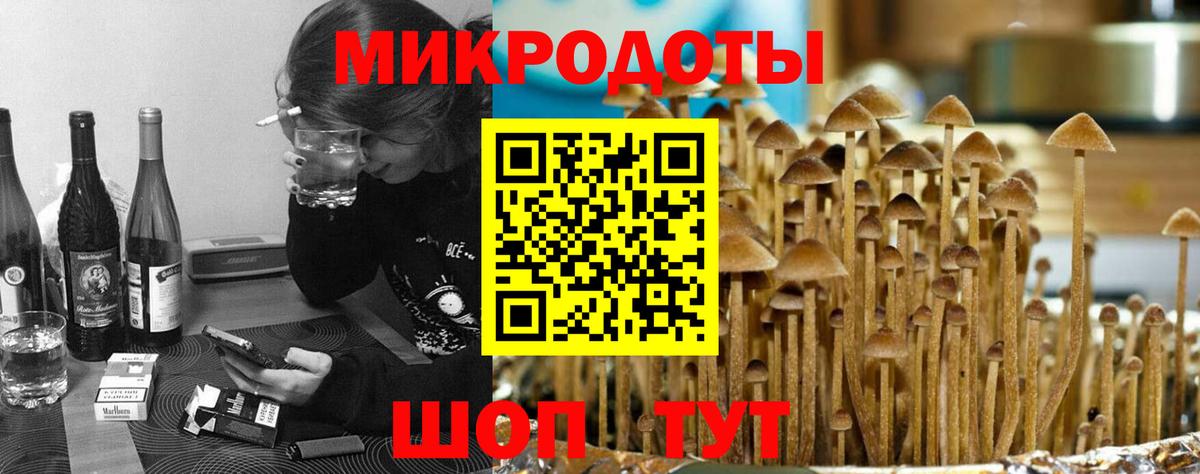 Галлюциногенные грибы прущие грибы  Вход с VPN  Ноябрьск  Псилоцибиновые грибы мицелий 
